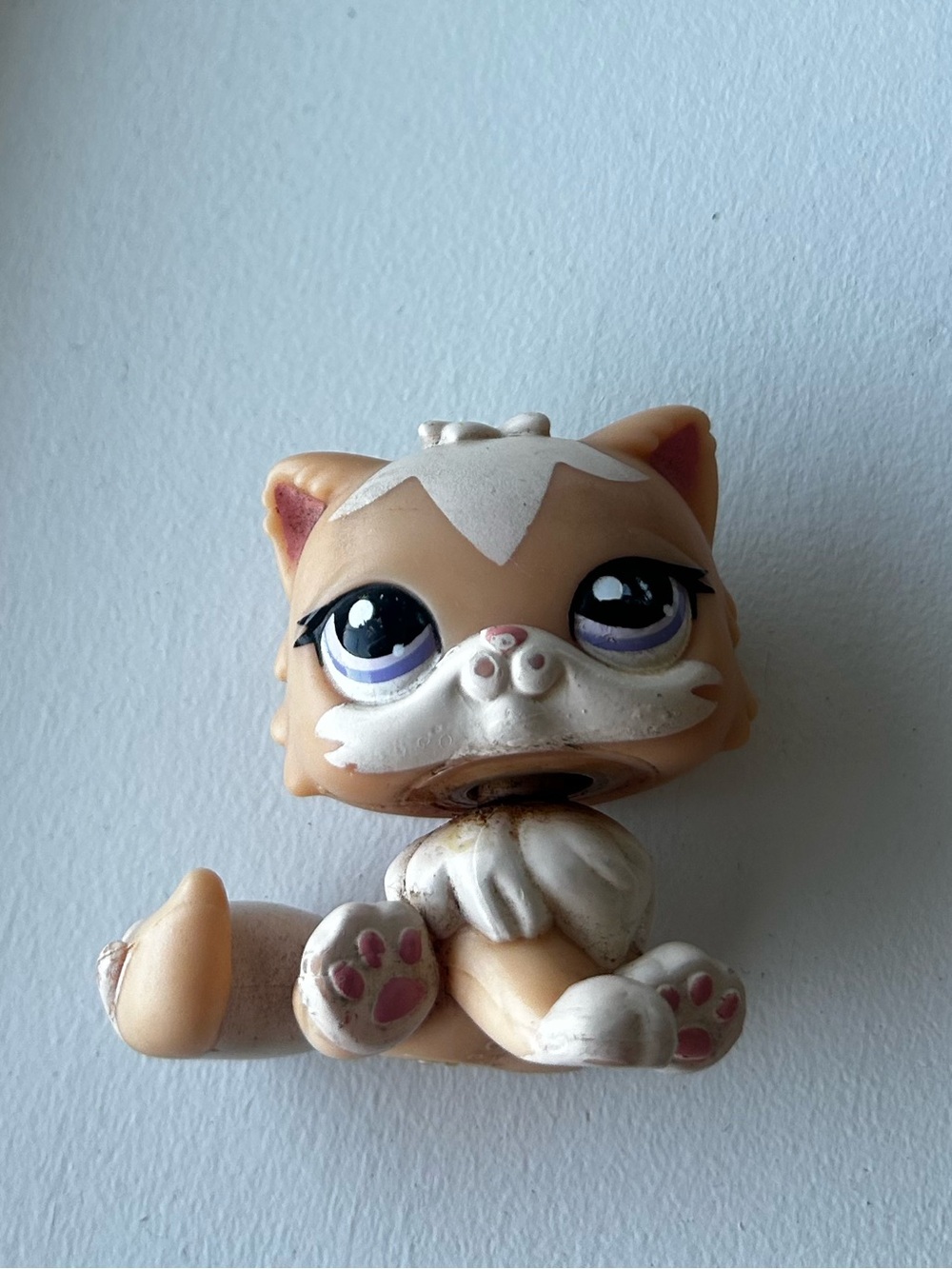 Littlest Pet Shop #1657 persian cat